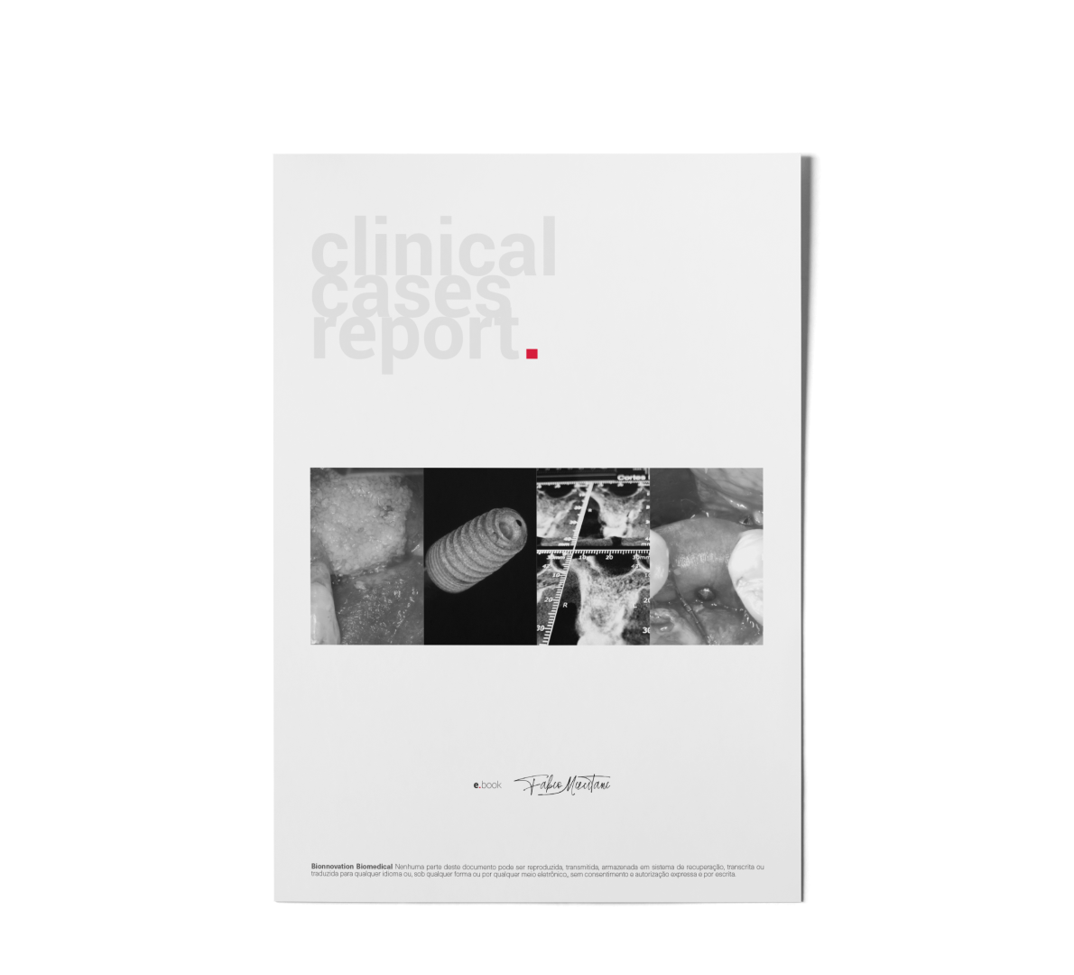 Mockup ebook Mizutani 1